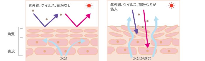 紫外線、ウィルス、花粉など