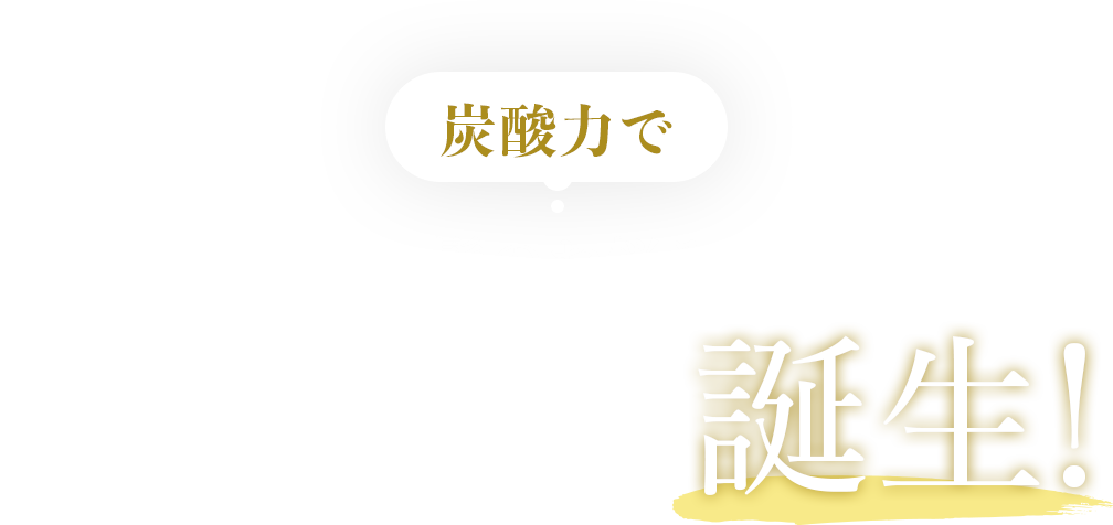 炭酸力で頭皮から髪のお悩みに答える ドクターメディオン初の炭酸ヘアケアシリーズ※が誕生！