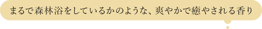 まるで森林浴をしているかのような、爽やかで癒やされる香り