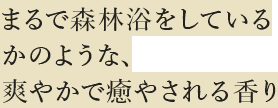 まるで森林浴をしているかのような、爽やかで癒やされる香り