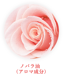 ノバラ油(アロマ成分)