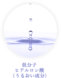 低分子 ヒアルロン酸 (うるおい成分)