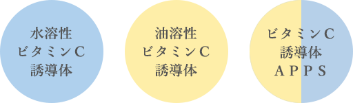 水溶性ビタミンC誘導体 油溶性ビタミンC誘導体 ビタミンC誘導体APPS
