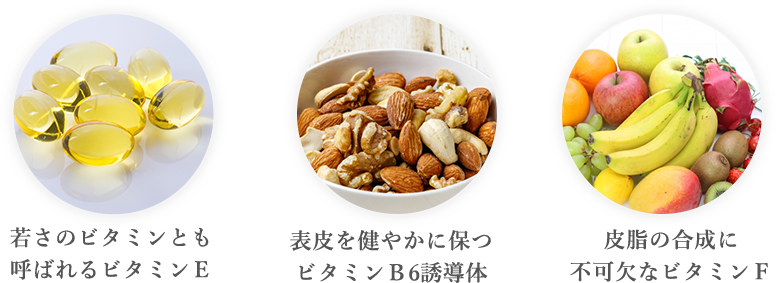 若さのビタミンとも呼ばれるビタミンE 表皮を健やかに保つビタミンB6誘導体 皮脂の合成に不可欠なビタミンF