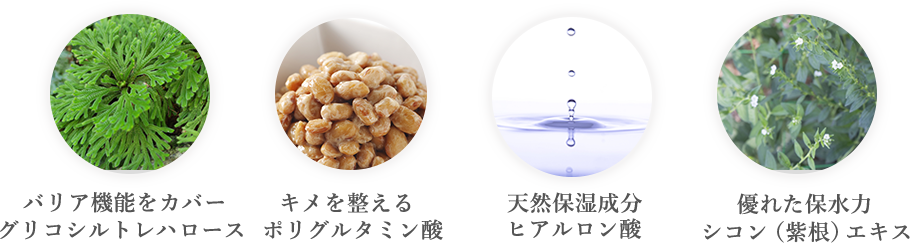バリア機能をカバーグリコシルトレハロース キメを整えるポリグルタミン酸 天然保湿成分ヒアルロン酸 優れた保水力シコン(紫根)エキス