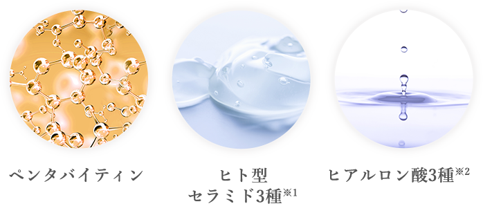 ペンタバイティン ヒト型セラミド3種 ヒアルロン酸3種