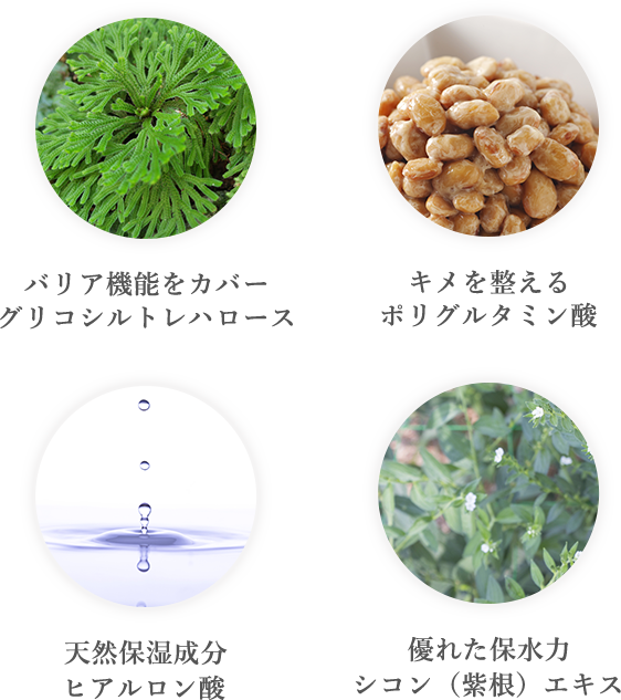バリア機能をカバーグリコシルトレハロース キメを整えるポリグルタミン酸 天然保湿成分ヒアルロン酸 優れた保水力シコン(紫根)エキス