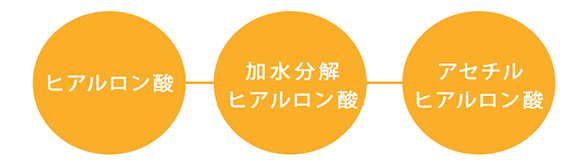 ヒアルロン酸 加水分解ヒアルロン酸 アセチルヒアルロン酸 潤いを長時間キープする3種類のヒアルロン酸