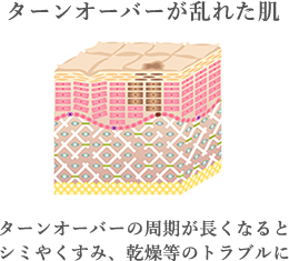 ターンオーバーが乱れた肌 ターンオーバーの周期が長くなるとシミやくすみ、乾燥等のトラブルに