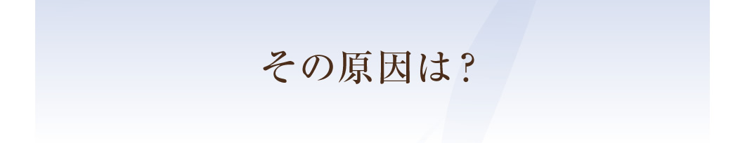 その原因は?